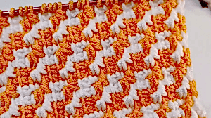 Yeni Başlayanlar İçin İki Renkli Tunus İşi