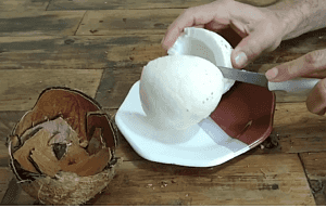 Hindistan Cevizi Kabuğu Nasıl Açılır?